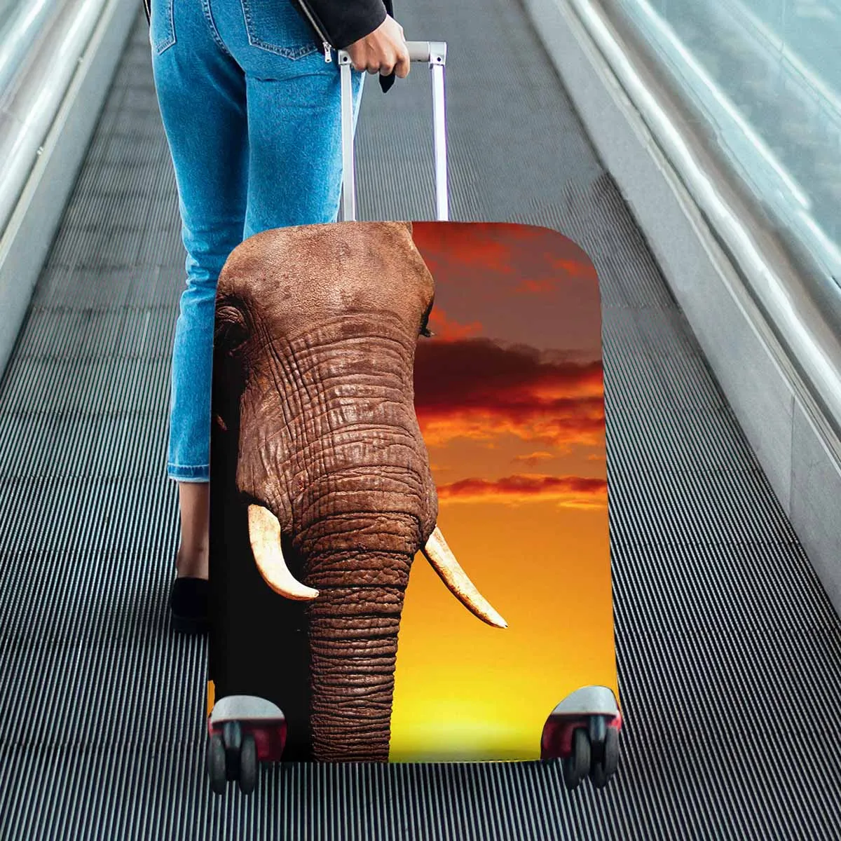 Animals themed Cover for Luggage suitcase printed African elephant in savanna at sunset